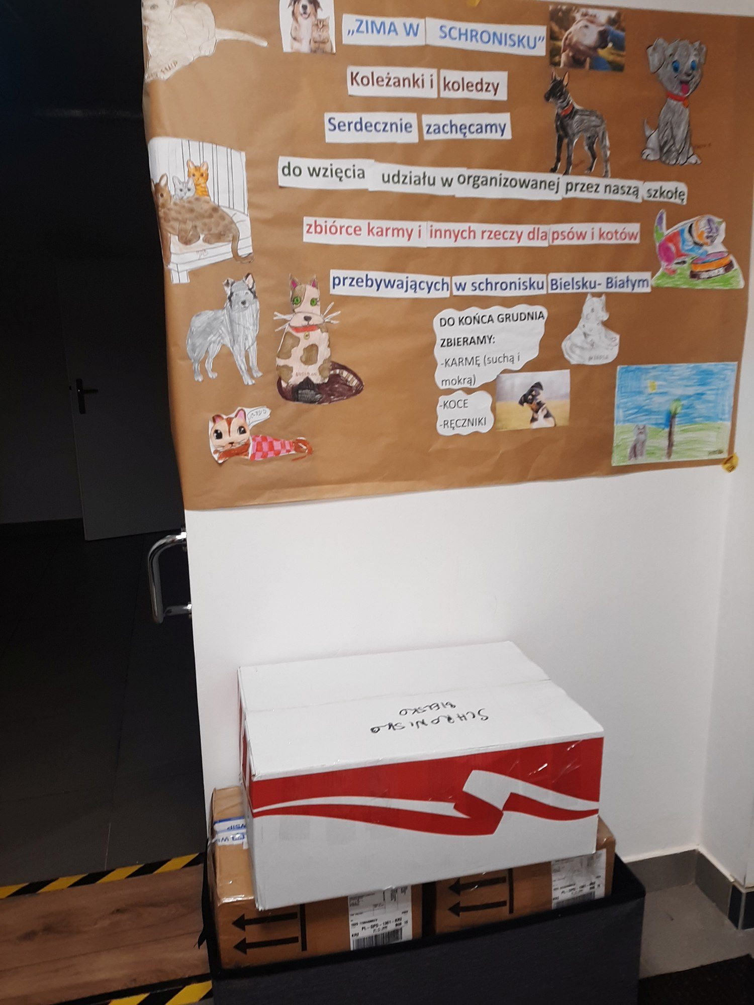 ZIPI INKLUZJA mocno wspiera schronisko